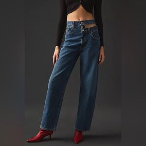 Agolde High Rise Jeans in Blue